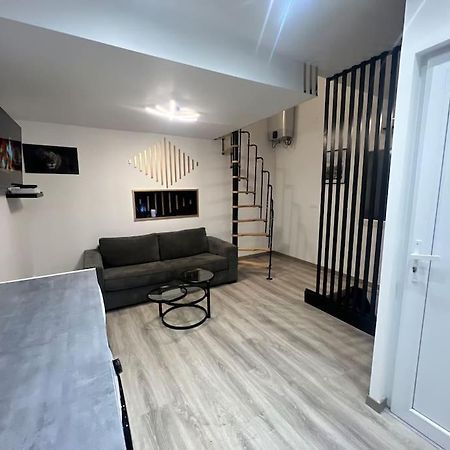 Maison Appartement Triplex Avec Jacuzzi Et Sauna سانت إتيان المظهر الخارجي الصورة